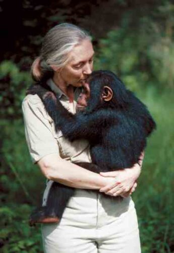 Earthwords: Jane Goodall